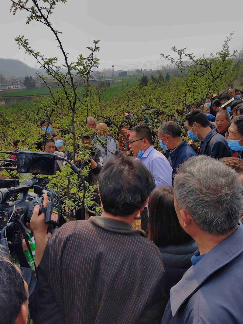 我公司加入渑池县花椒春季治理与病虫害防治手艺培训会(图2)
