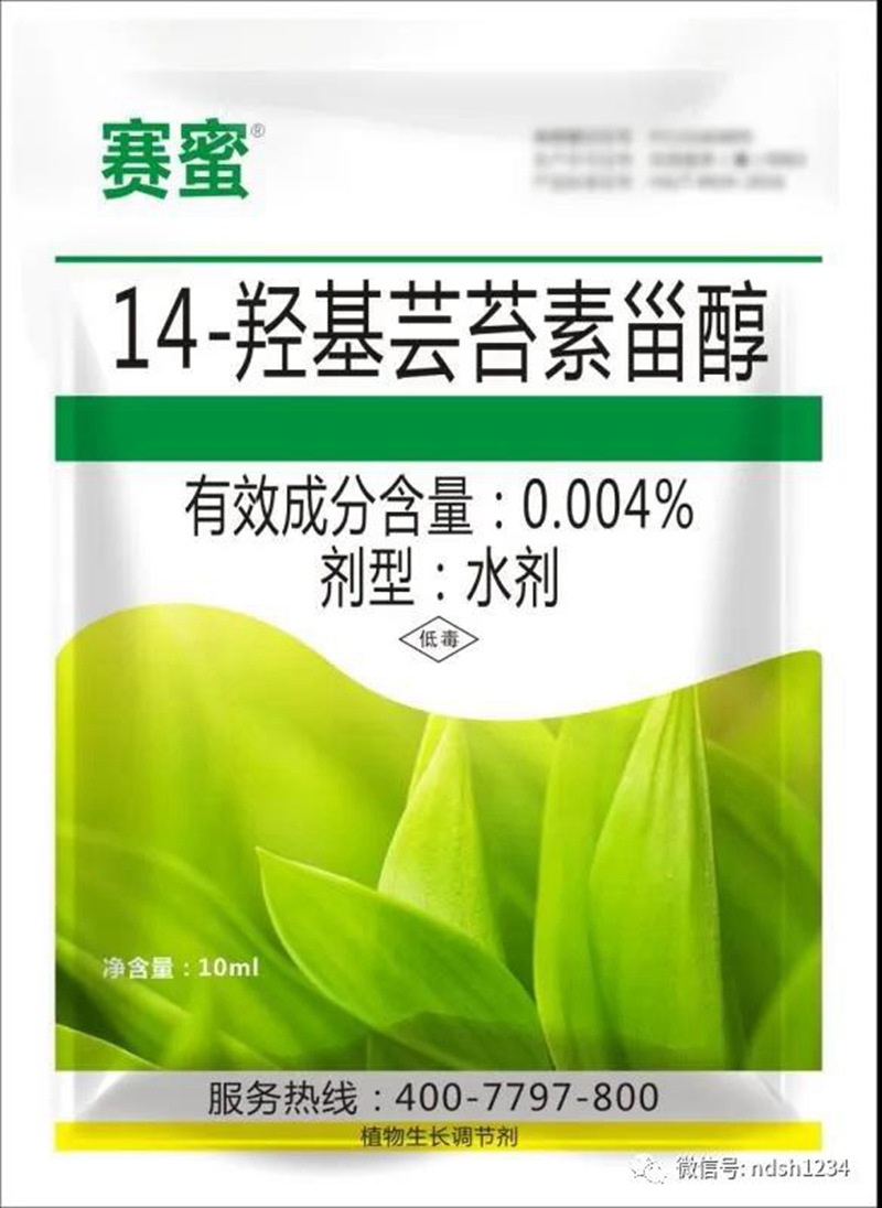 我公司加入渑池县花椒春季治理与病虫害防治手艺培训会(图4)