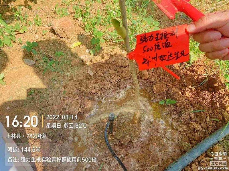 亿万先生生根产品试验(图3)