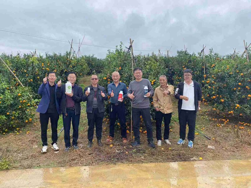 亿万先生生化柑橘手艺交流会(图5)
