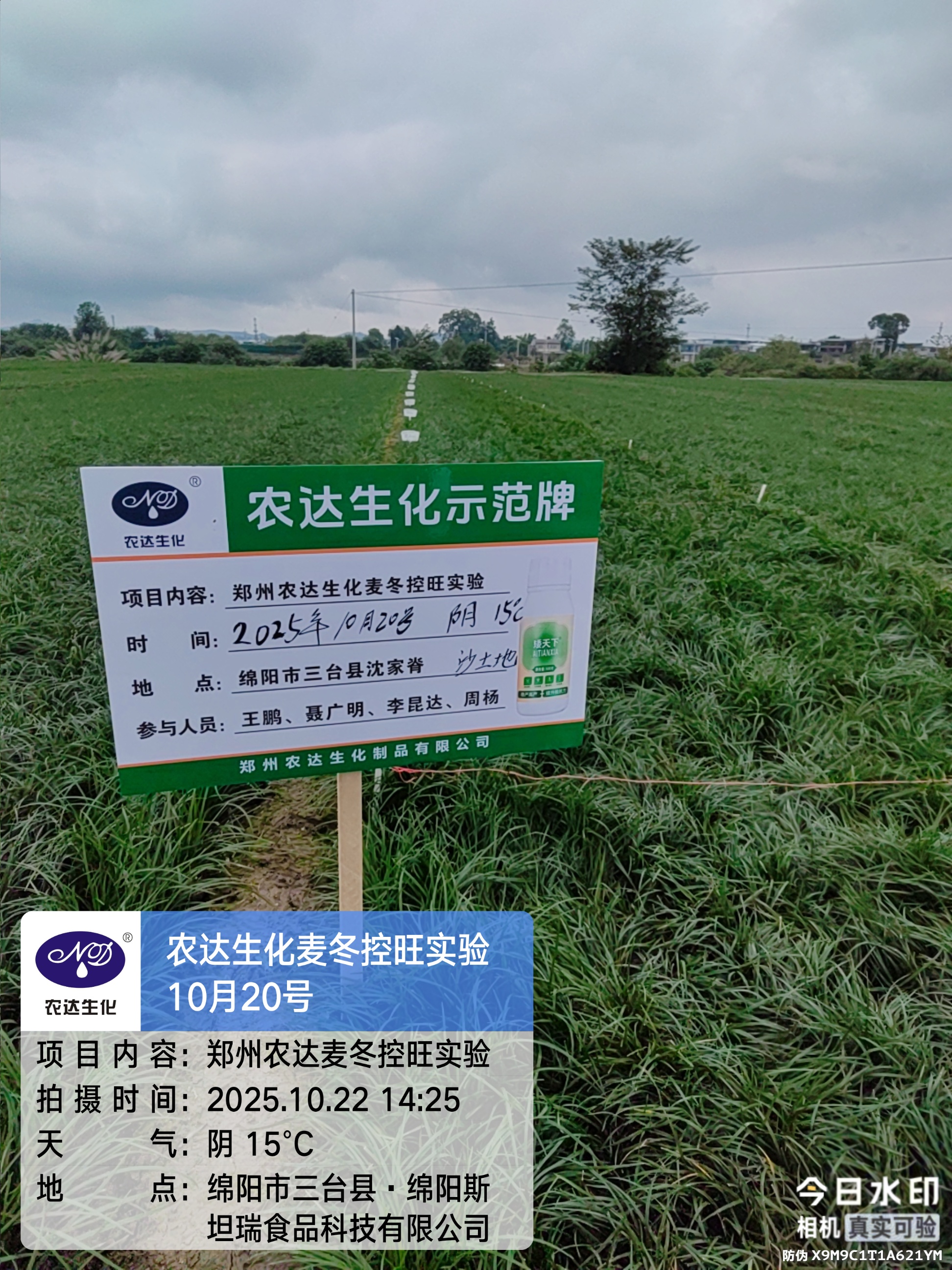 药典新规要检多效唑？别慌！亿万先生“矮天下”助您控旺又增产！(图1)